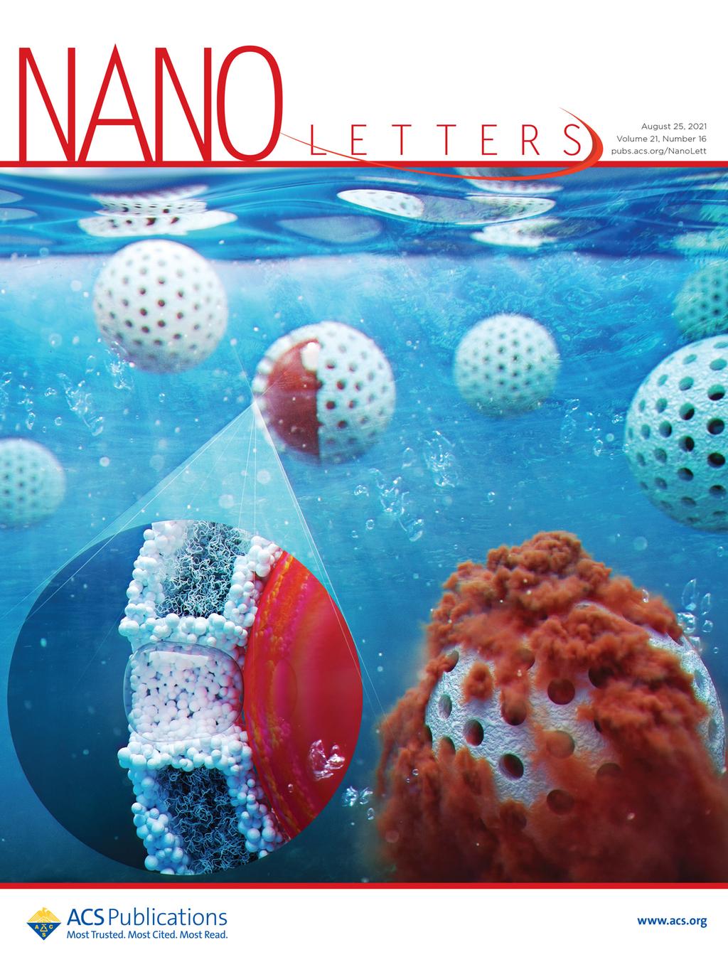 나노 레터스(Nano Letters) 8월호 표지