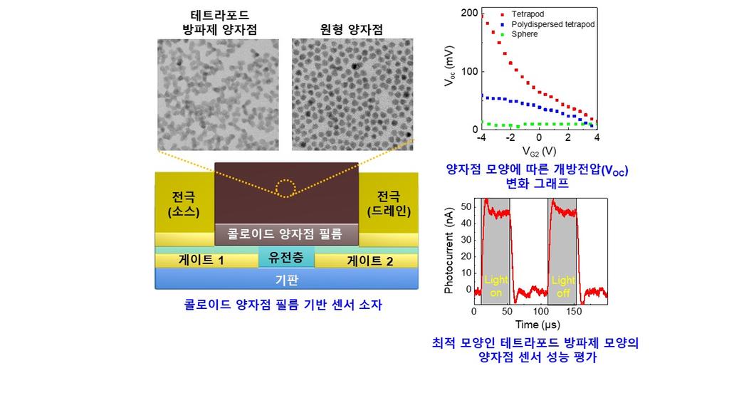 단파 적외선 감지용 콜로이드 양자점(테트라포드 방파제 모양, 원형 모양) 기반 센서 소자 모식도 및 양자점 모양 변화에 따른 센서 성능 평가 결과