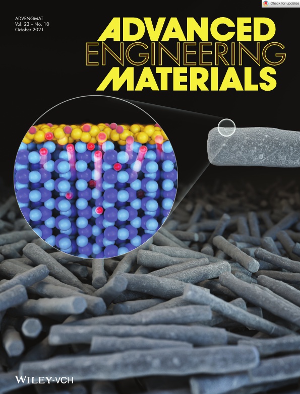 어드밴스드 엔지니어링 머터리얼즈(Advanced Engineering Materials) 10월호 표지