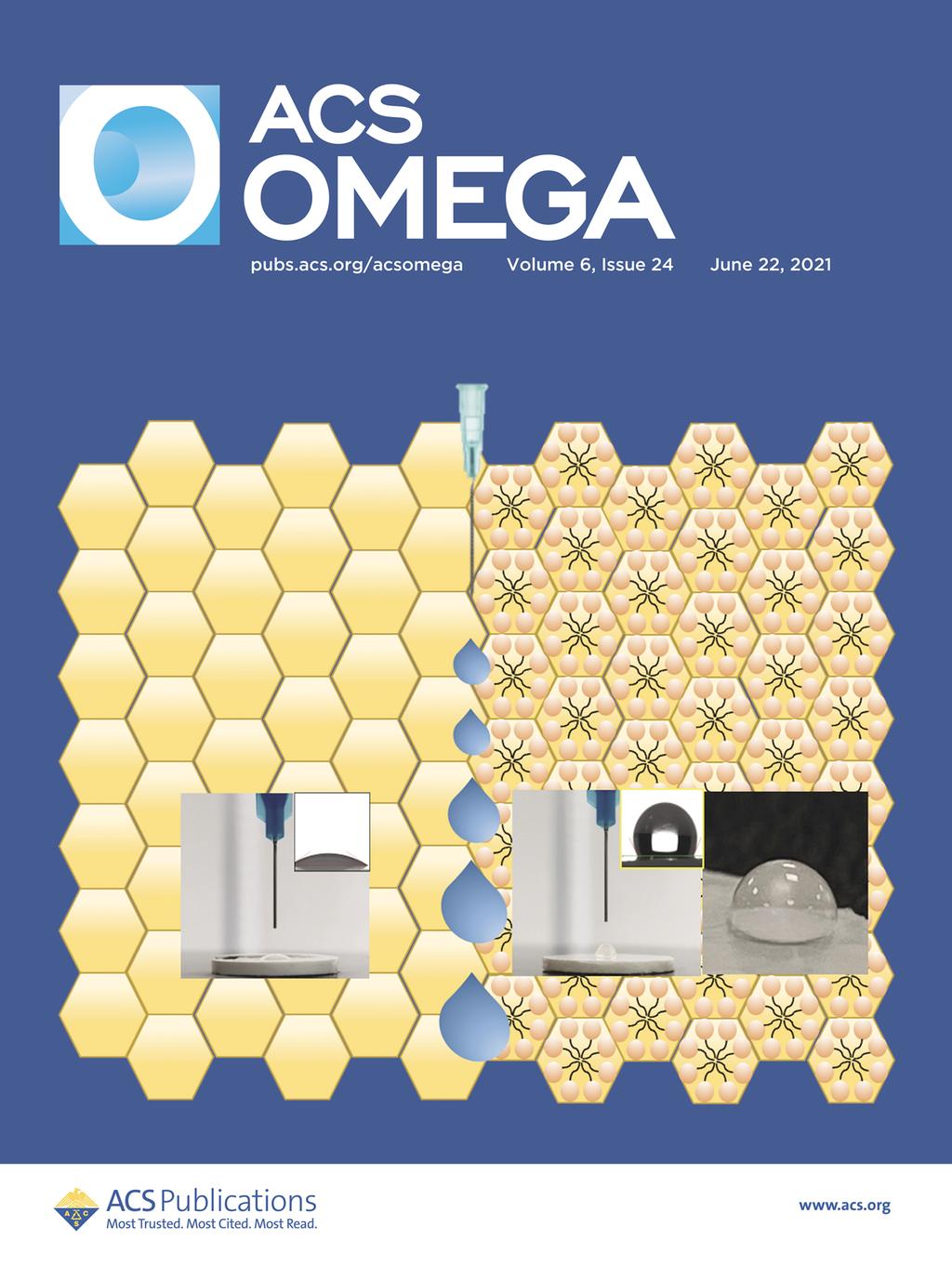 에이씨에스 오메가(ACS Omega)  표지논문 사진